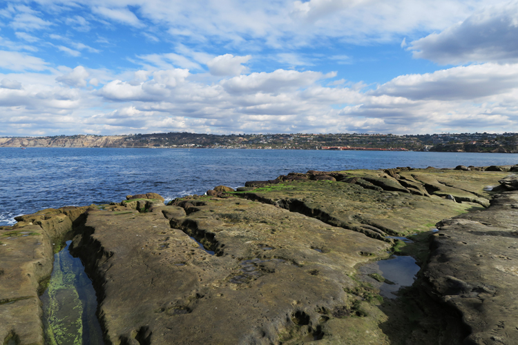 La Jolla Beach San Diego