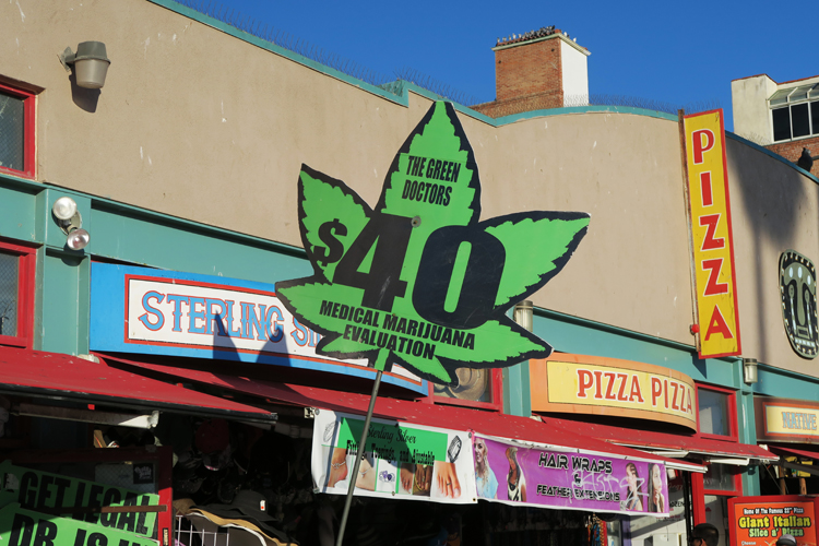 Venice Beach Marijuana