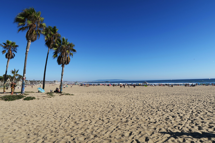 Venice Beach