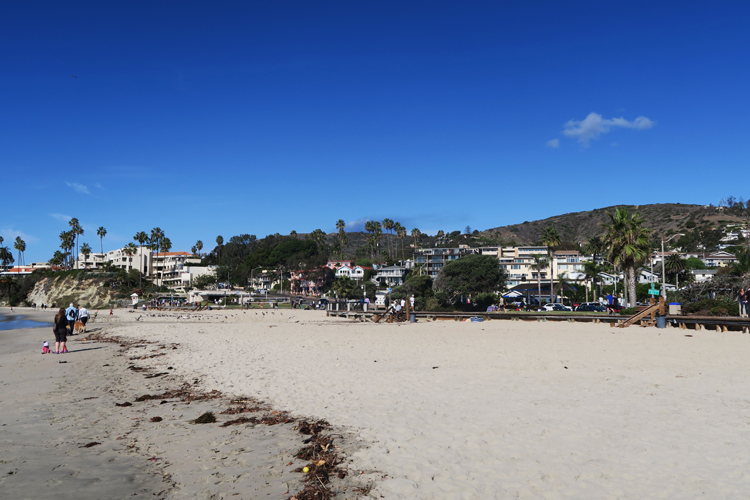 Laguna Beach Houses