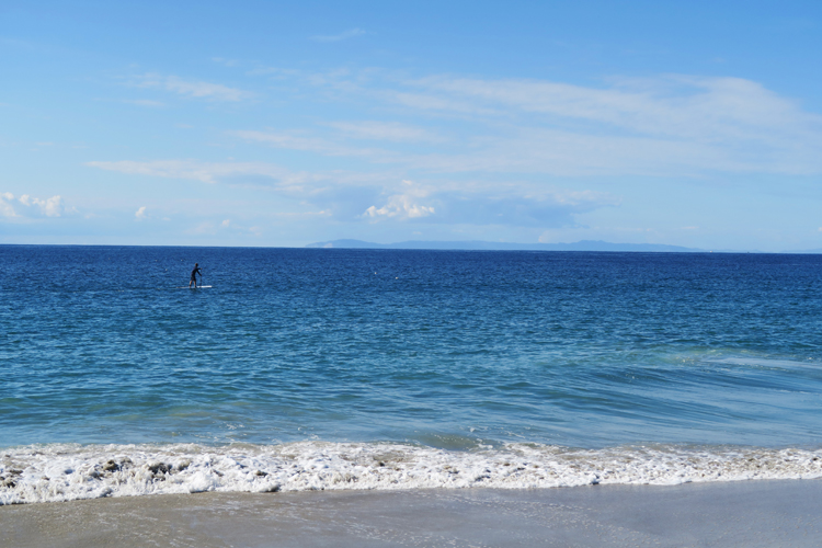Laguna Beach Paddleboard