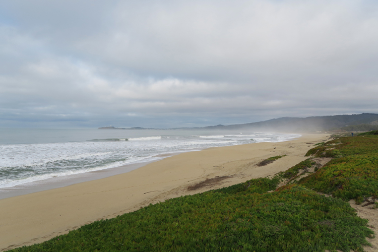Half Moon Bay State Beach Pacific Ocean San Francisco