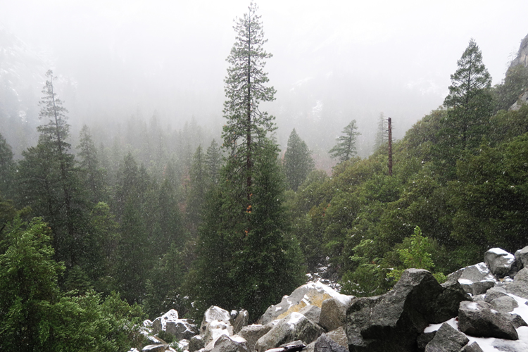 Yosemite National Park Vernal Fall