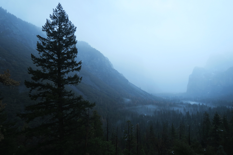Yosemite National Park Tunnelview
