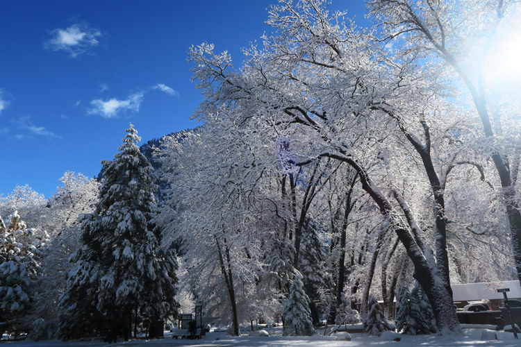 Yosemite National Park Snow