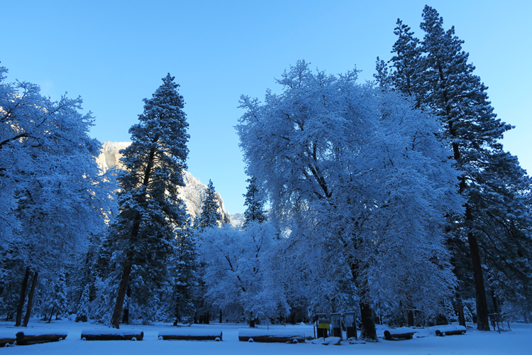 Yosemite National Park Snow