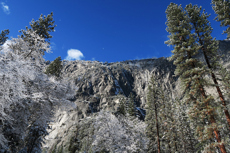 Yosemite National Park Snow