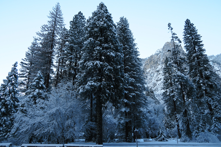 Yosemite National Park Snow